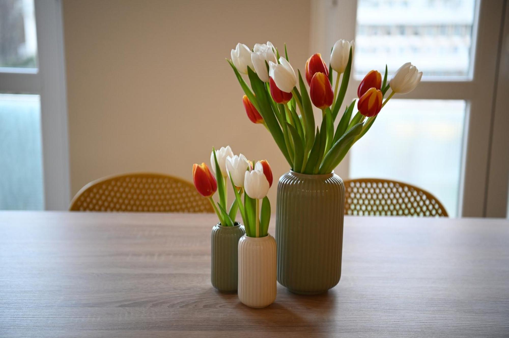 Appartement Per Famiglie - Metro A - 20min Dal Centro Rome
